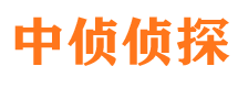 柳南市侦探调查公司